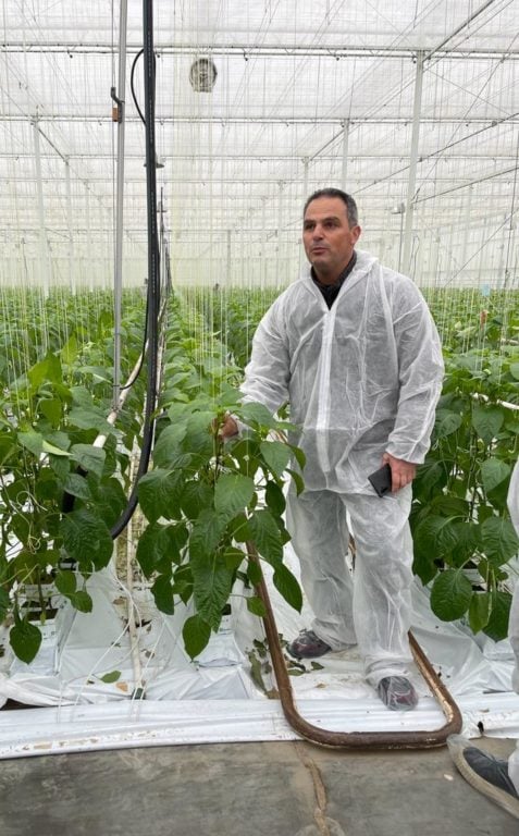 Manthos Antonakis es un agricultor de tomates que usa bioestimulantes organicos Plants for Plants en Grecia