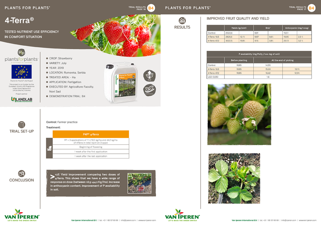 Prueba de Plants for Plants 4-Terra realizada en fresa en Italia