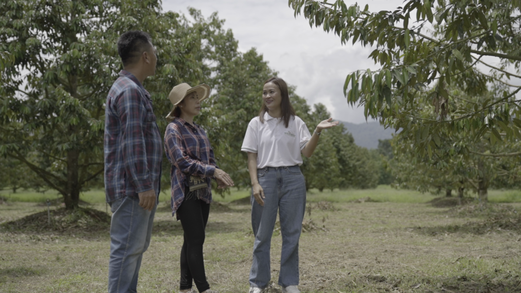 El equipo de Van Iperen y los agricultores de durian revisan los árboles de durian en Tailandia
