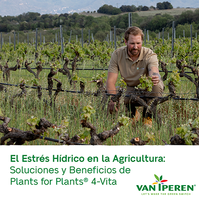 Viticultor comprueba la calidad del viñedo tras aplicar los bioestimulantes Plants for Plants