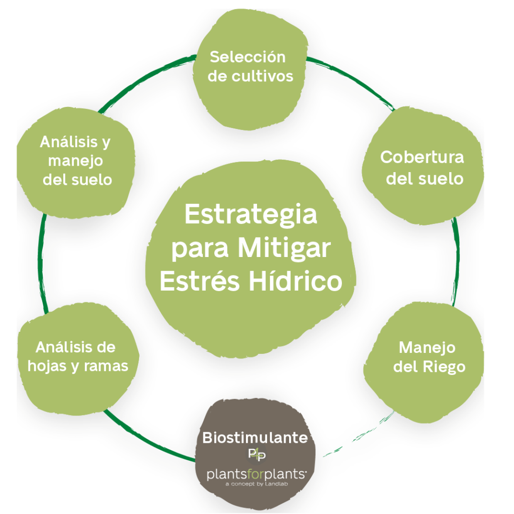 estrategia para mitigar el estres hidrico en los cultivos