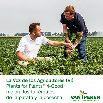 La Voz de los Agricultores (VI) Plants for Plants® 4-Good mejora los tubérculos de la patata y el rendimiento del cultivo