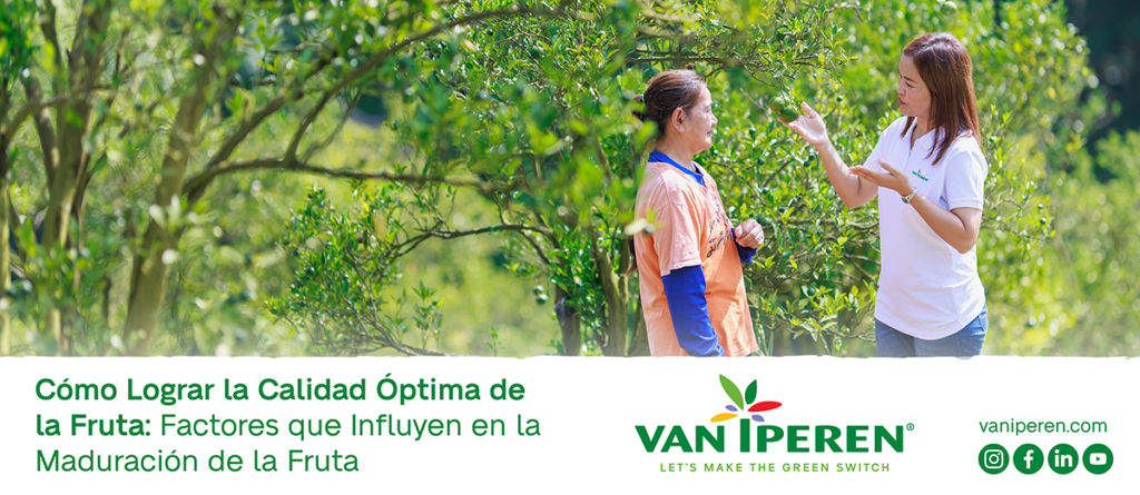 Equipo de Van Iperen charla con un agricultor de citricos acerca de WAKE-up Liquido y su efecto en la maduracion del fruto