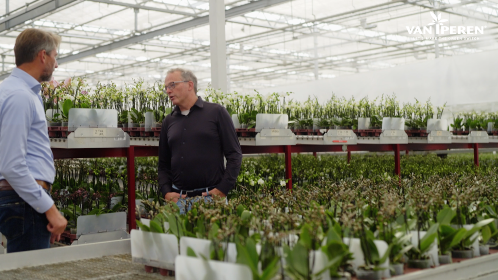 Marc y Willem inspeccionan las diferentes orquideas cultivadas con GreenSwitch Original