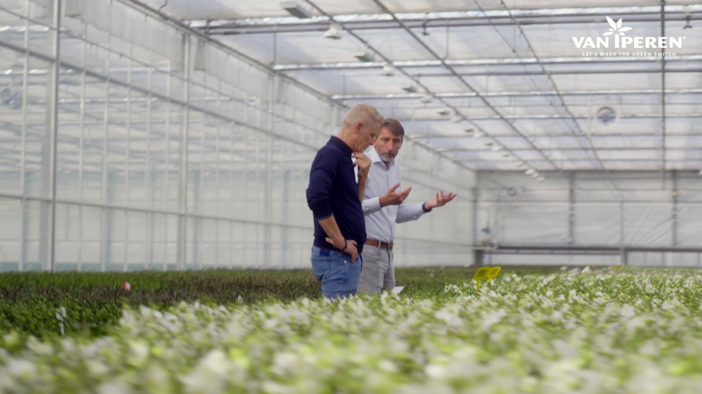 Rob y Willem revisan el proceso de producción de orquídeas en OK Plant 3