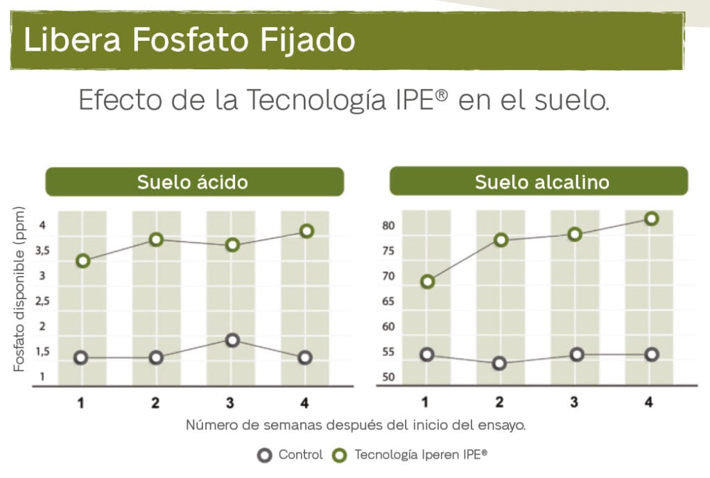 Grafico del ensayo de la Tecnologia IPE Libera el fosfato fijado