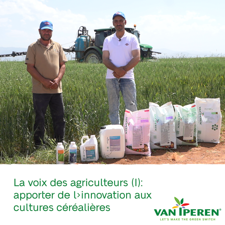 VII FR Grower Testimonial Konya Turkey day 1 400px