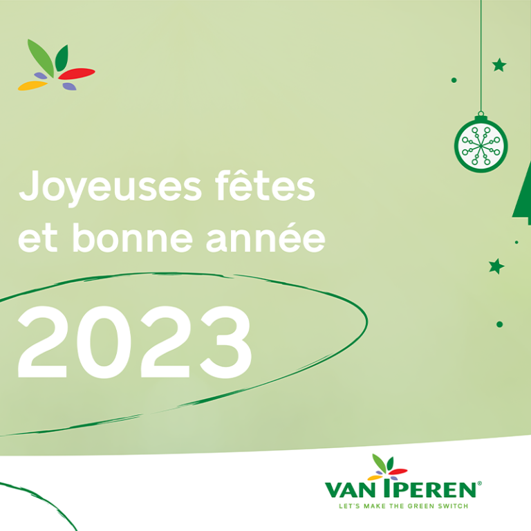 VII FR Best wishes christmas banner for website - 2023