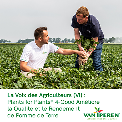 La voix des agriculteurs VI Plants for Plants® 4-Good Améliore la Qualité des Tubercules et le Rendement de Pomme de Terre