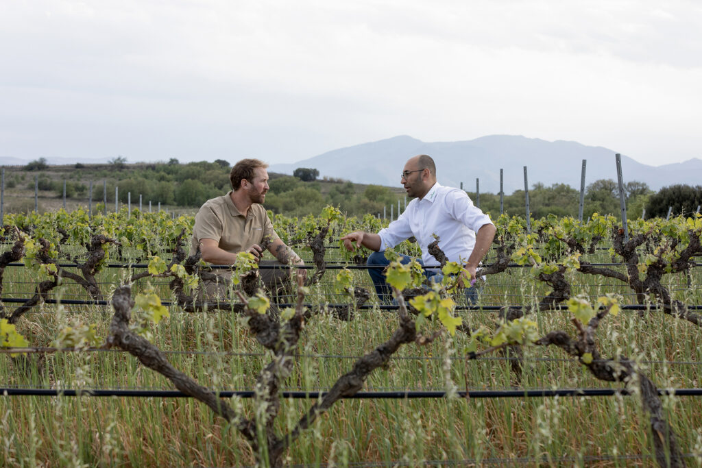 Mathieu Ramon-Baldie, du Domaine Jonquères d'Oriola, parle à notre Agronome