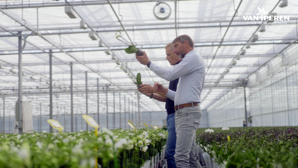 Rob et Willem vérifient les orchidées traitées avec GreenSwitch Original