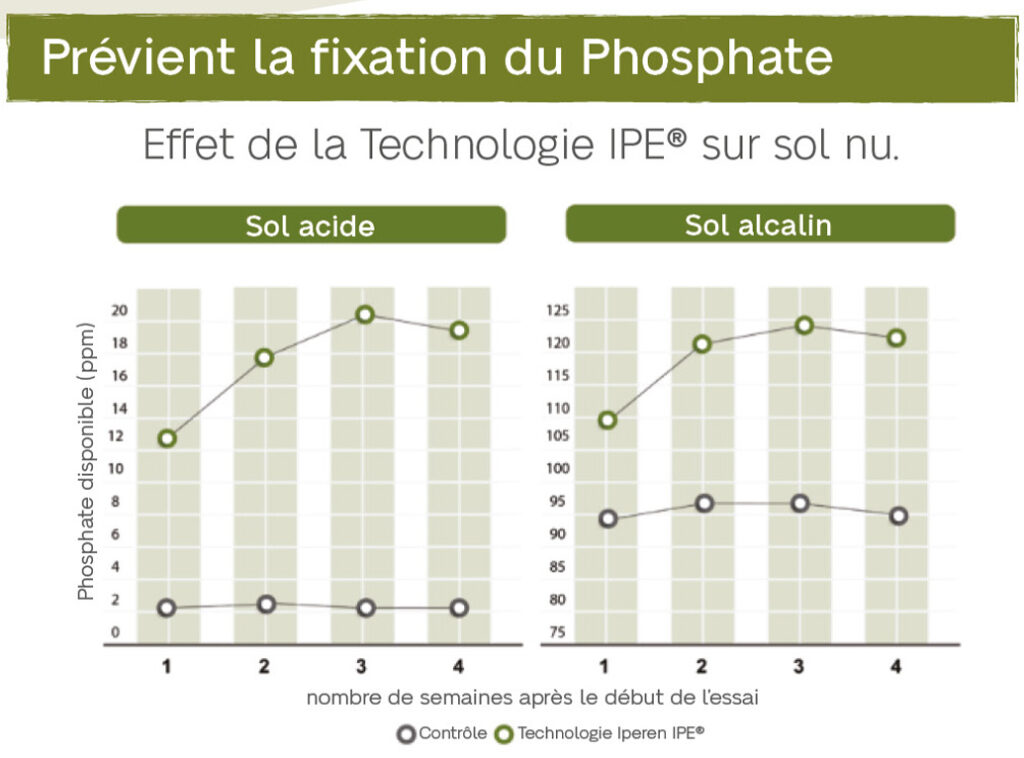 Graphique de test de la technologie IPE Empêche la fixation du phosphate