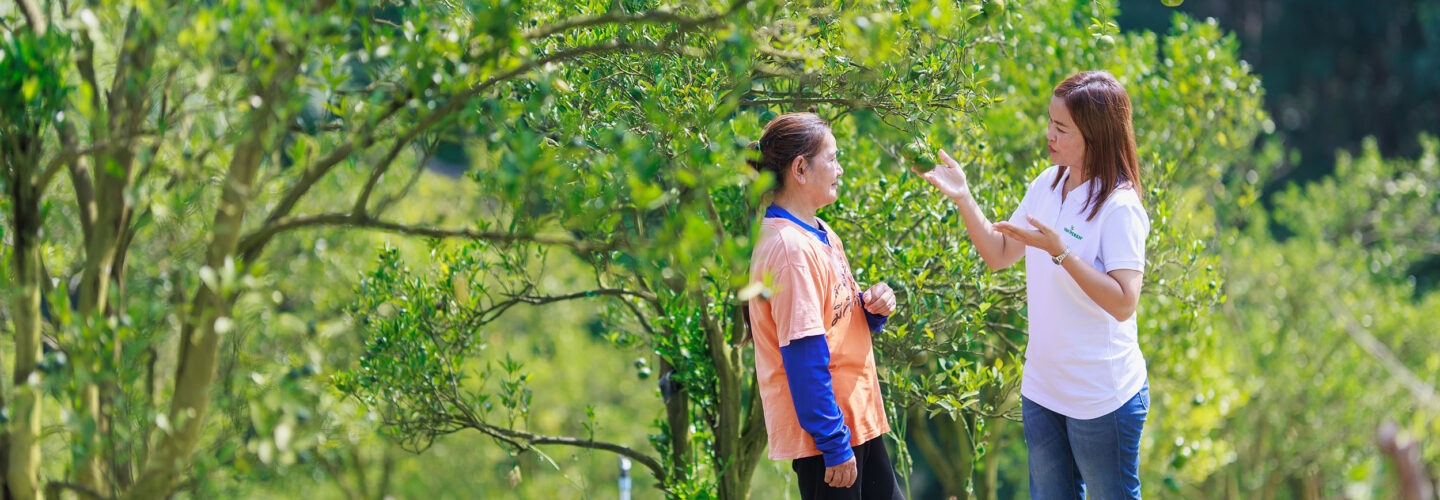 Van Iperen International team member listens carefully to a citrus grower