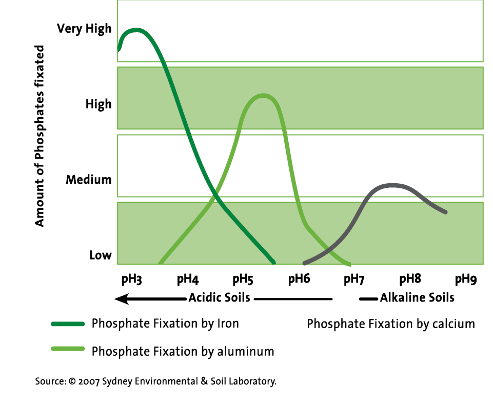 Phosphate fixation graph Van Iperen International