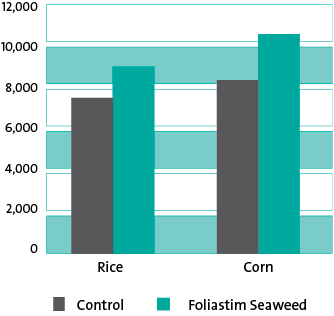 Graph showing increased yield effect using FoliaStim on rice and corn grown under extreme conditions