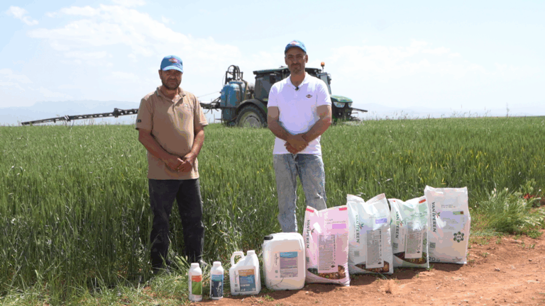 Grower testimonial with Safa Tarim in Konya Turkey - Van Iperen International
