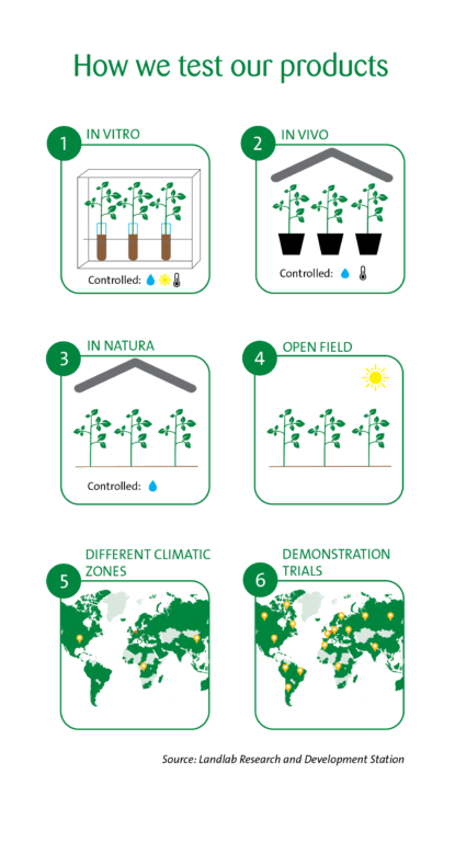 Infographic describing the steps in the R&D process at Van Iperen