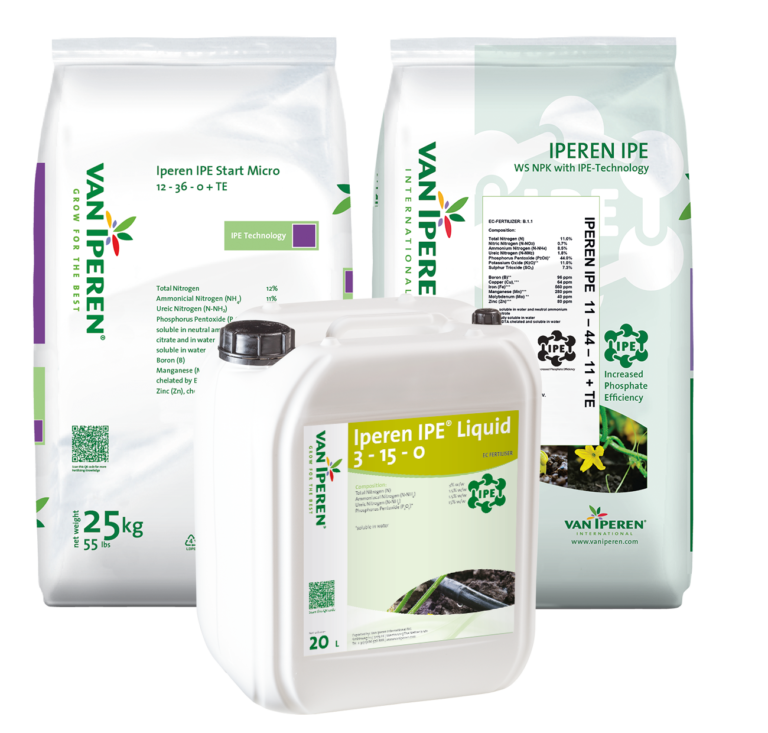 IPE Technology bags and can