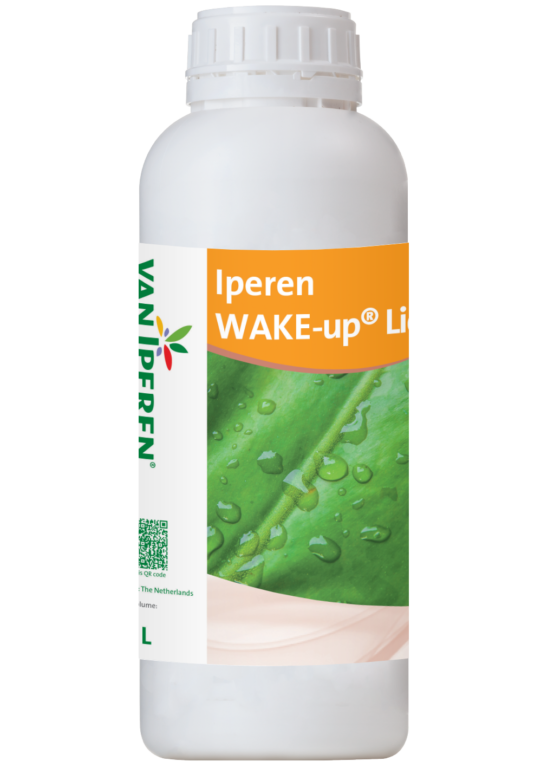 Bottle of New Solutions fertilizer