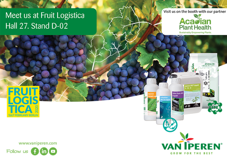 Meet Van Iperen International at Fruit Logistica on 5, 6, and 7 February 2020. Hall 27. Stand D-02.