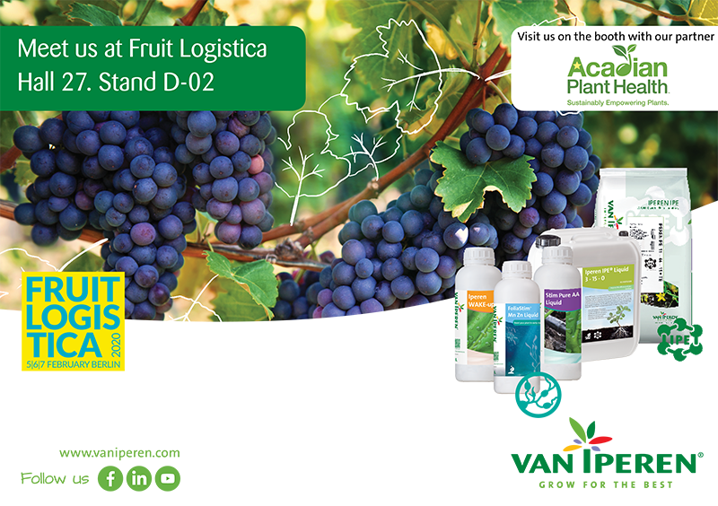 Meet Van Iperen International at Fruit Logistica on 5, 6, and 7 February 2020. Hall 27. Stand D-02.