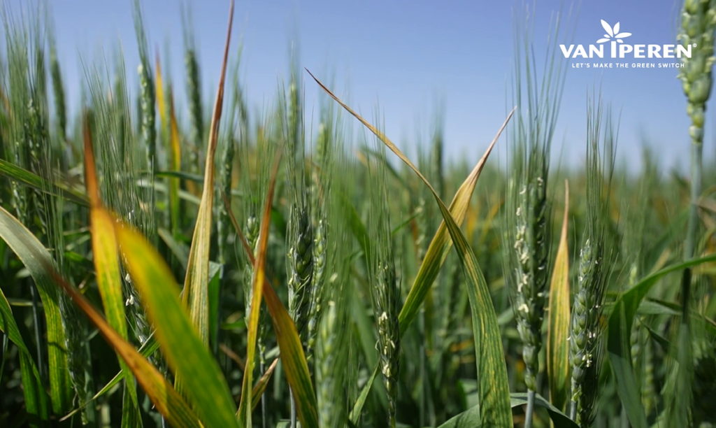 The Voice of Growers (I) Bringing Innovation to Cereal Crops Van