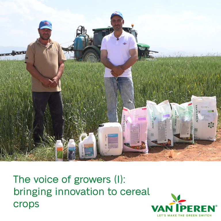 VII EN Grower Testimonial Konya Turkey day 1 400px