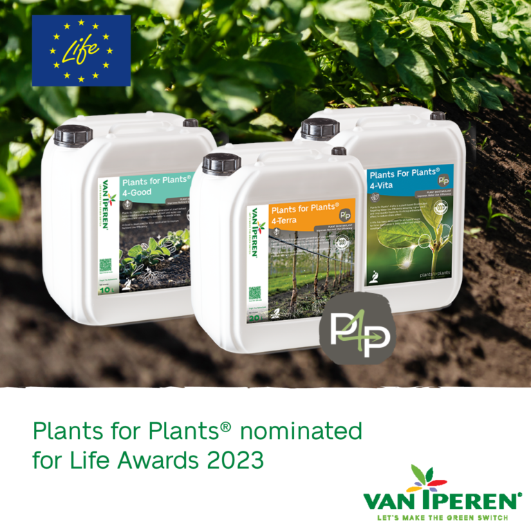 VII EN P4P nomination LIFE Awards 2023 news articles
