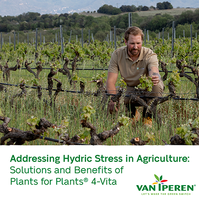 VII EN Hydric stress in agriculture 400px