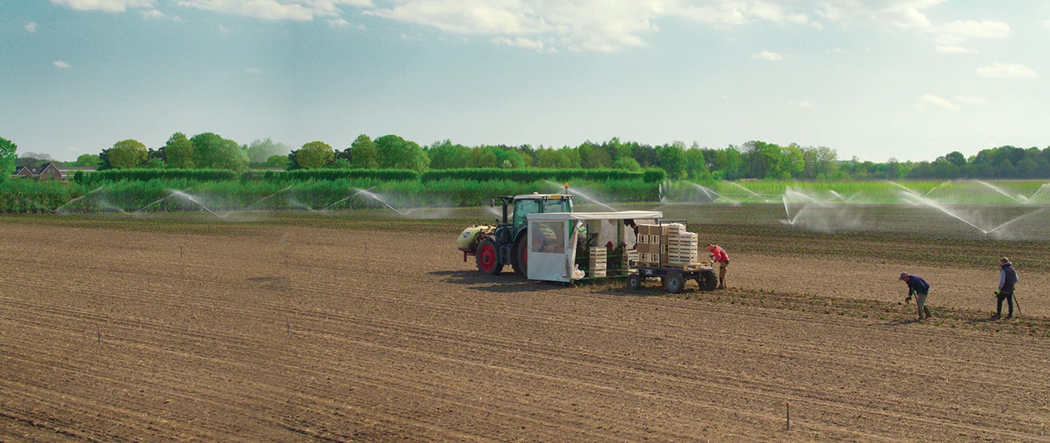 Carbon footprint transparency infographic representing the art industry