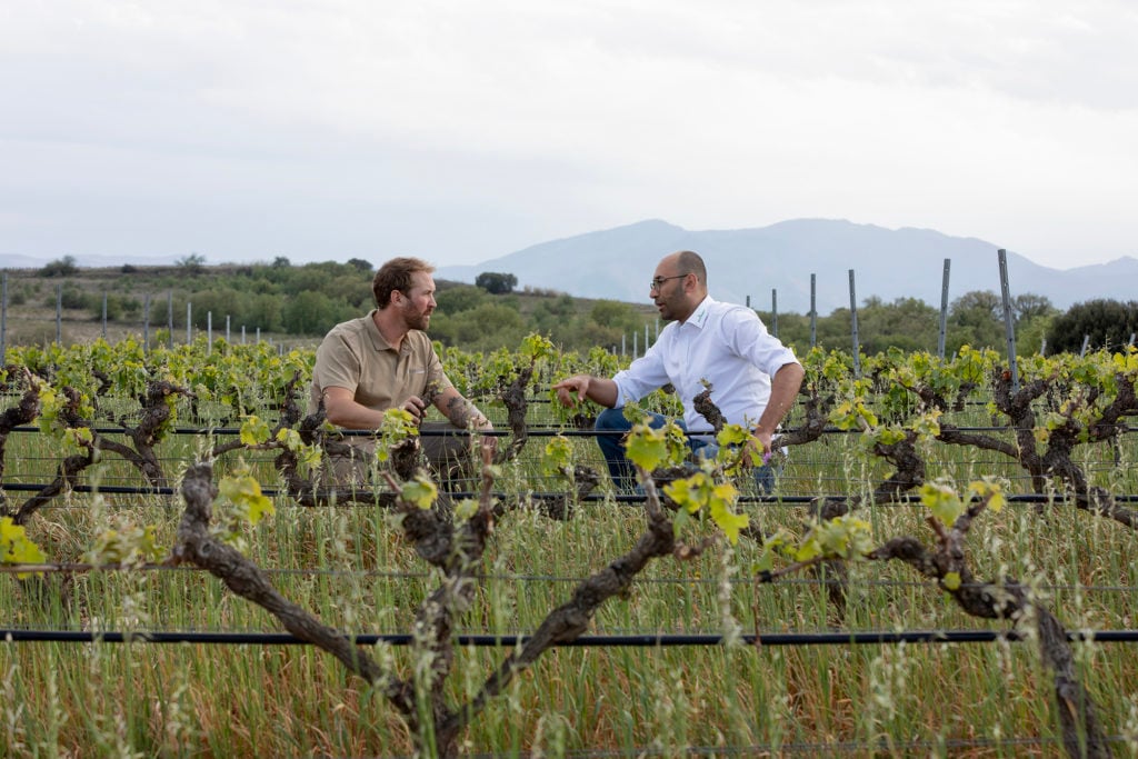 Mathieu Ramon-Baldie, from Domaine Jonquères d’Oriola, talks to Van Iperen Agronomist