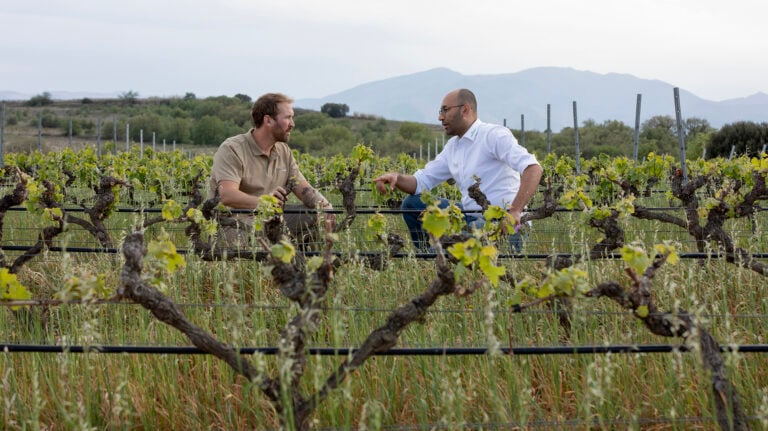 Mathieu Ramon-Baldie, from Domaine Jonquères d’Oriola, talks to Van Iperen Agronomist