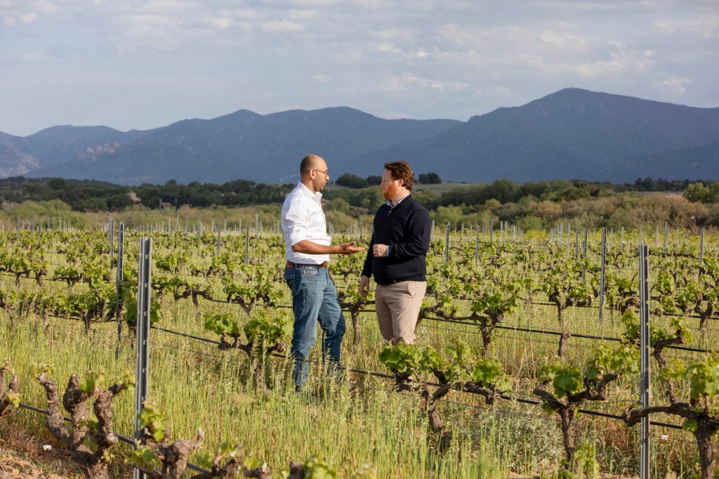 William Jonquères d’Oriola talks about grape varieties with Van Iperen Agronomist