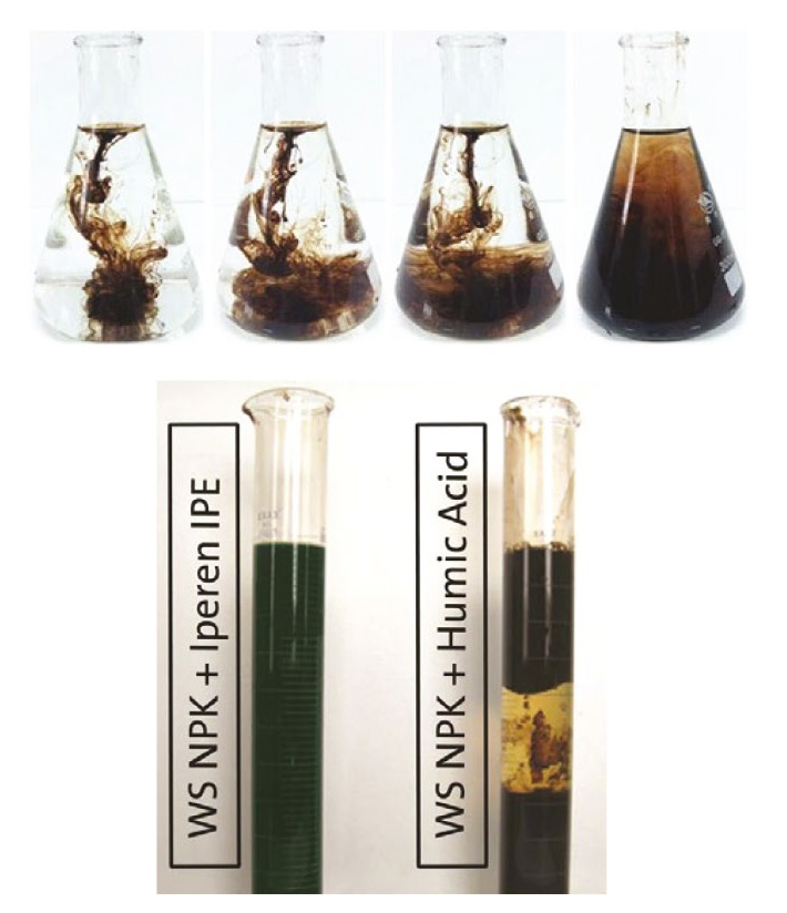 IPE Technology solubility 