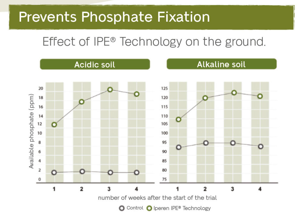 Graph IPE Technology Trial Prevents Phosphate Fixation 