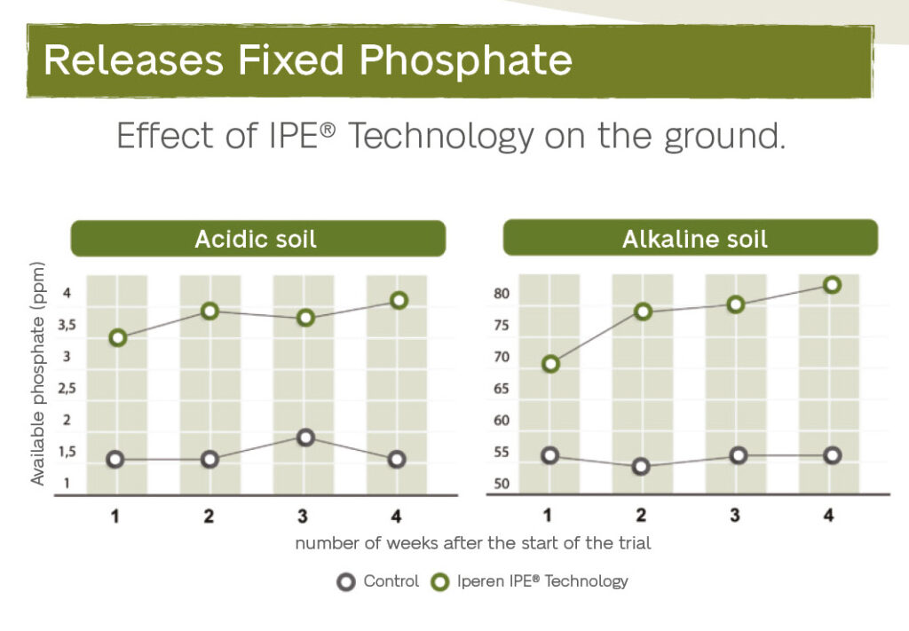 Graph IPE Technology Trial Releases Fixed Phosphate 