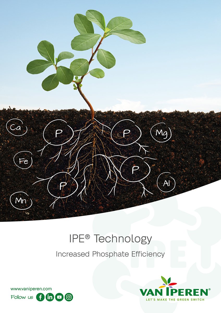 Cover IPE Technology brochure 2024