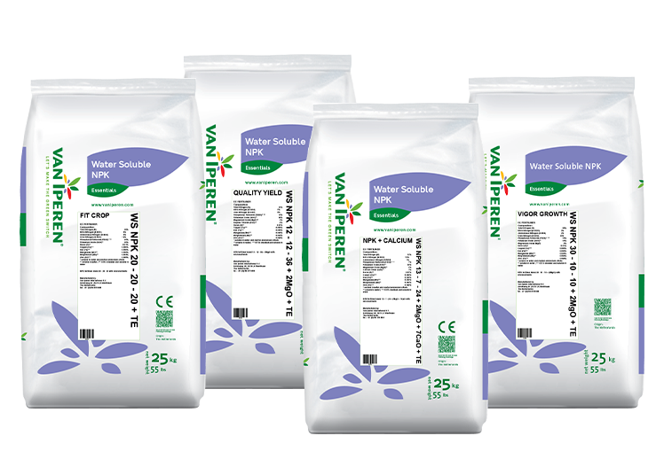 WS NPK 4 product overview Jabaly Jordan