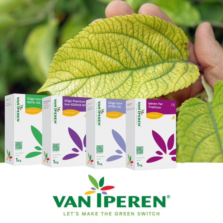 Iron chelates - Van Iperen International