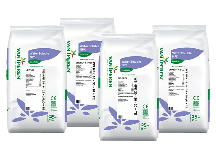 WS NPK fertilizers - Van Iperen International