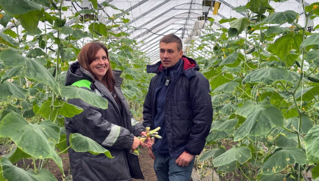 Agriterma employees on the field ,Official distributor of Van Iperen in Ukraine