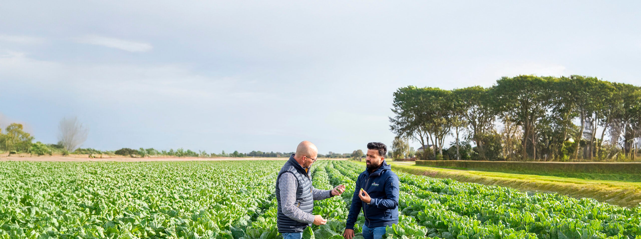 Van Iperen International | Specialty Fertilizers and Biostimulants