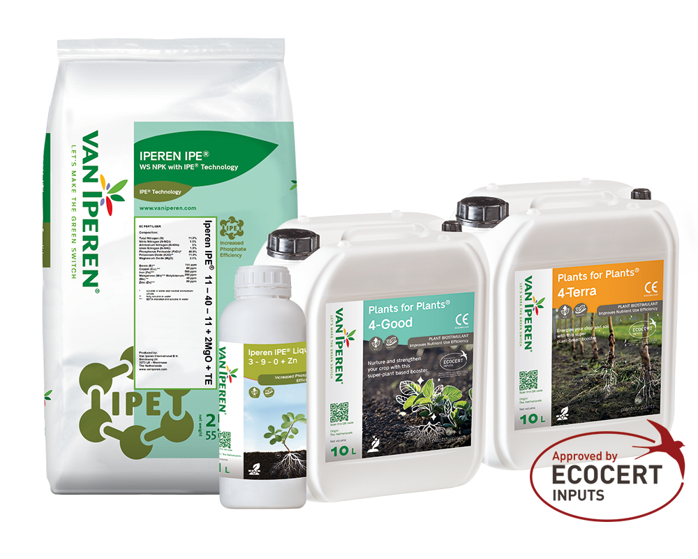 Van Iperen P-NUE product range featuring Iperen IPE technology and Plants for Plants solutions that improve phosphorus availability, uptake, and nutrient use efficiency in crops