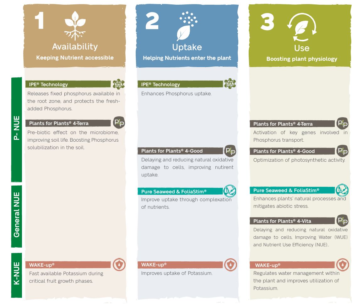 Nutrient Use Efficiency matrix showing Van Iperen technologies that support nutrient availability, uptake, and use across P-NUE, general NUE, and K-NUE crop nutrition solutions