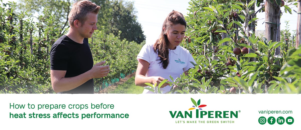 How to prepare your crop for heat stress