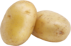 Potato20crop@10x